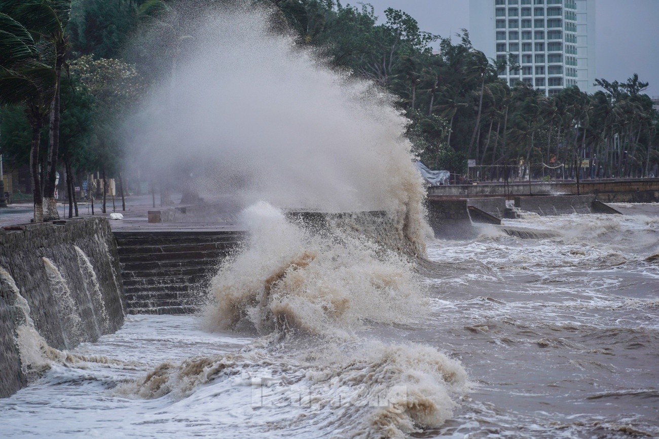 Bao so 3 WIPHA anh 2