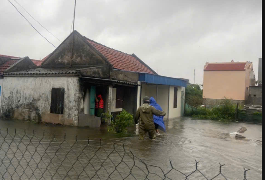 Cay de oto Ninh Binh anh 6