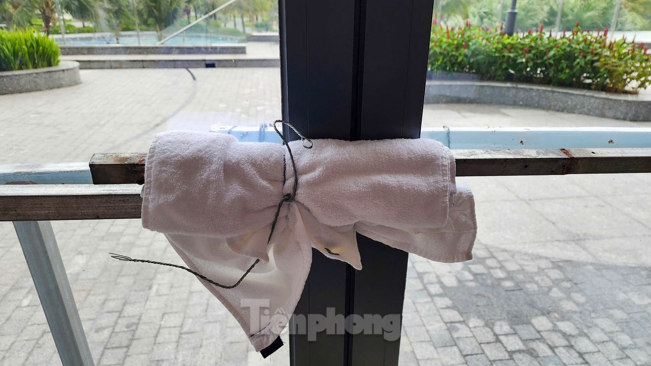 Bao so 3 WIPHA anh 8