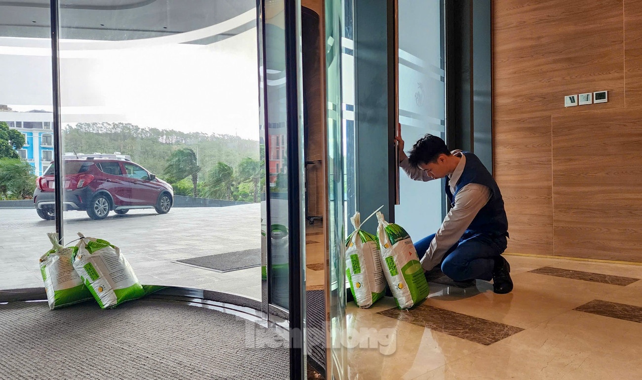 Bao so 3 WIPHA anh 9