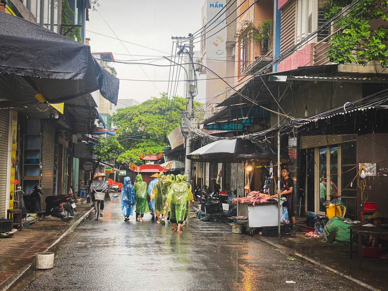 Lat tau Vinh xanh 58 anh 2