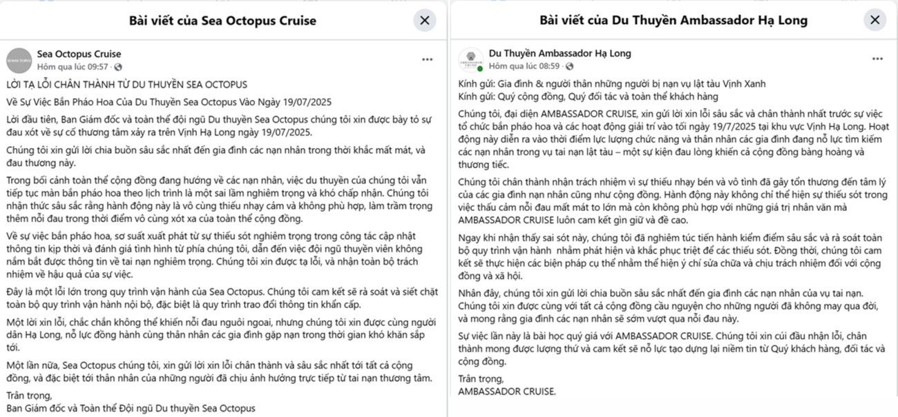 Phao hoa tau Ha Long anh 2