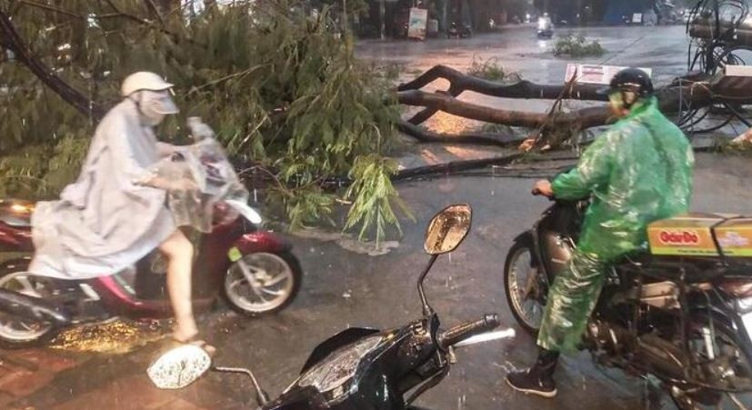 Muc nguy hiem cua bao Wipha khi duy tri gio manh cap 10-11 hinh anh