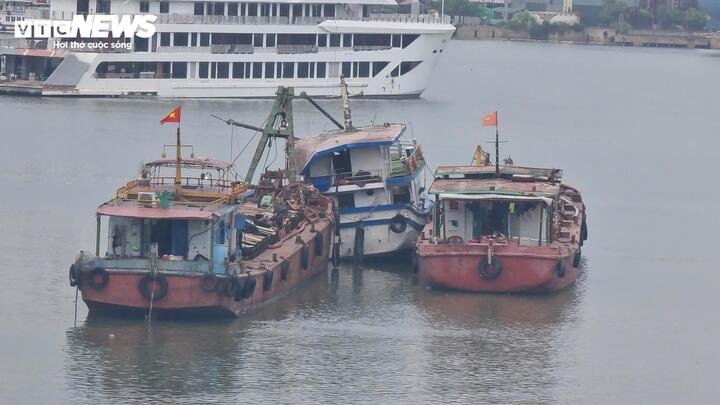 Lat tau Vinh xanh 58 anh 1