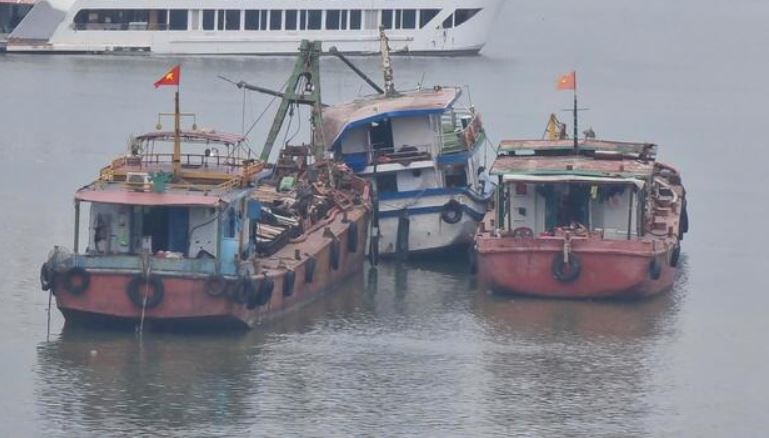 Sau tham hoa lat tau, co can nang tieu chuan tau du lich Vinh Ha Long? hinh anh
