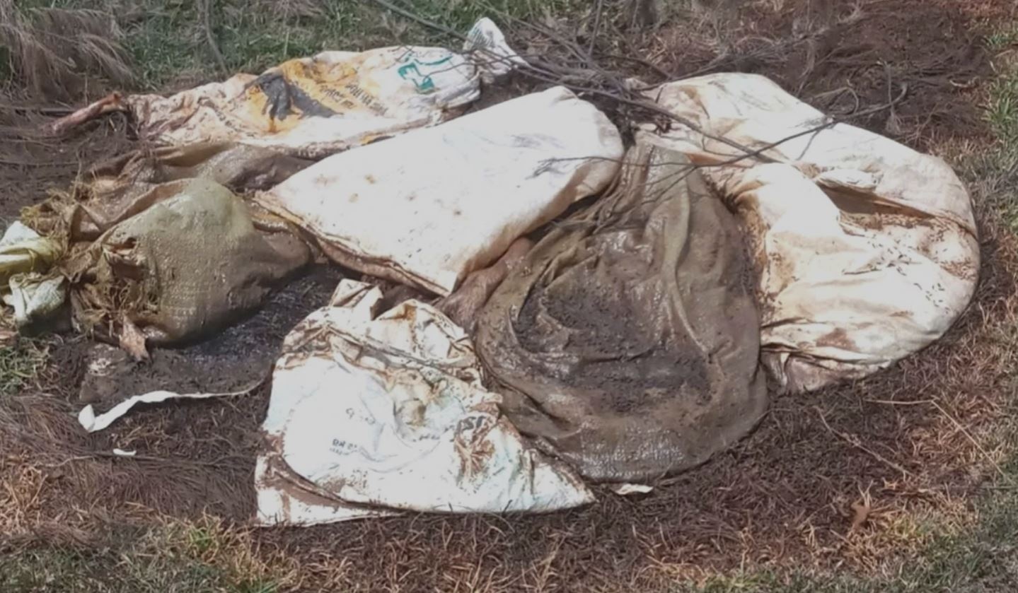 Xac lon tren bai bien noi tieng Quang Tri hinh anh