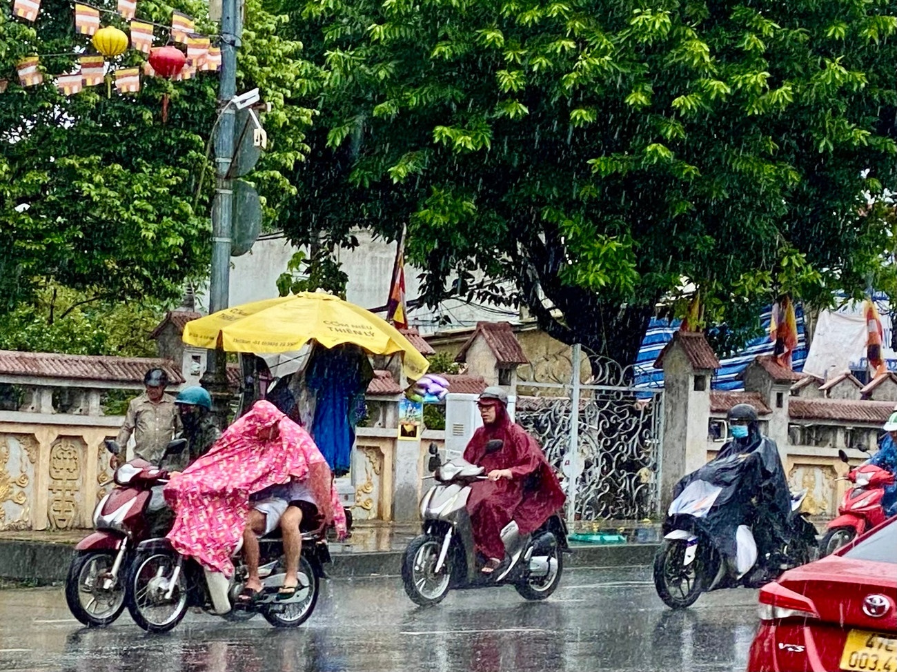 Mua lon TP.HCM Sai Gon anh 1