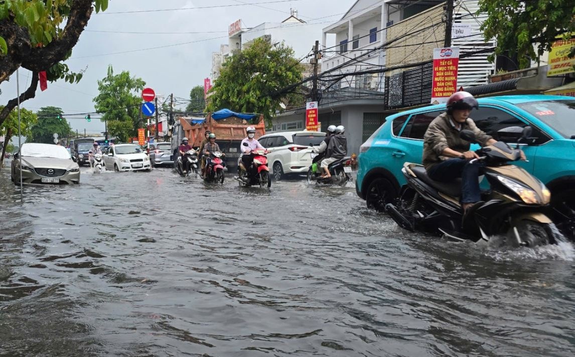 Mot thanh pho cua Nhat Ban ho tro Can Tho chong ngap hinh anh