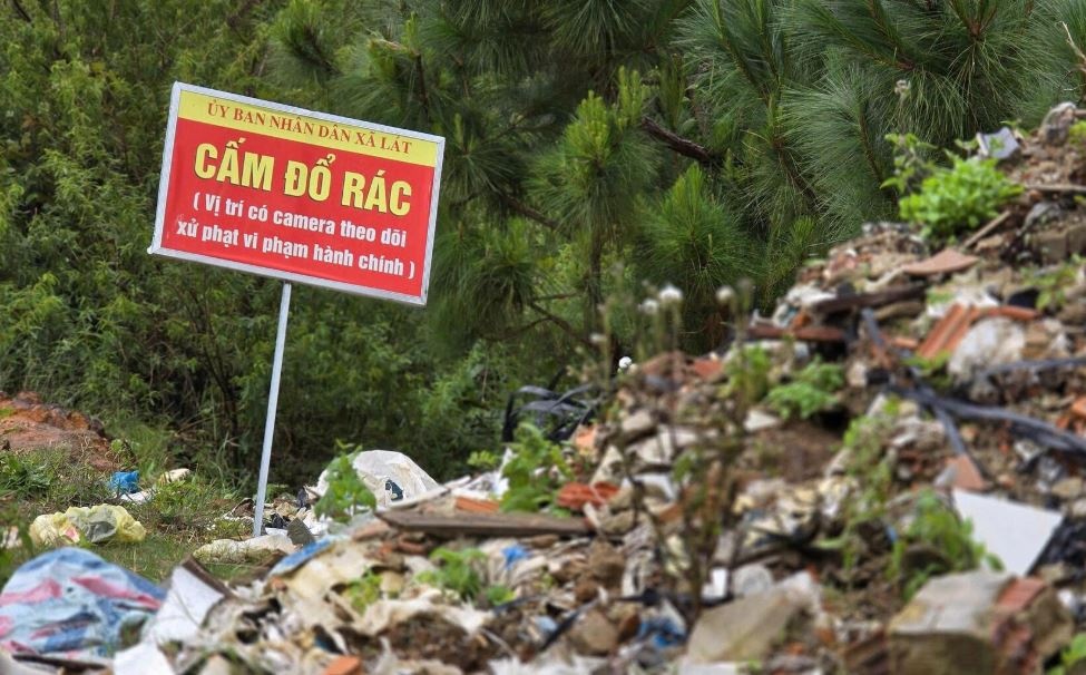 Rac thai 'tan cong' rung thong Da Lat hinh anh