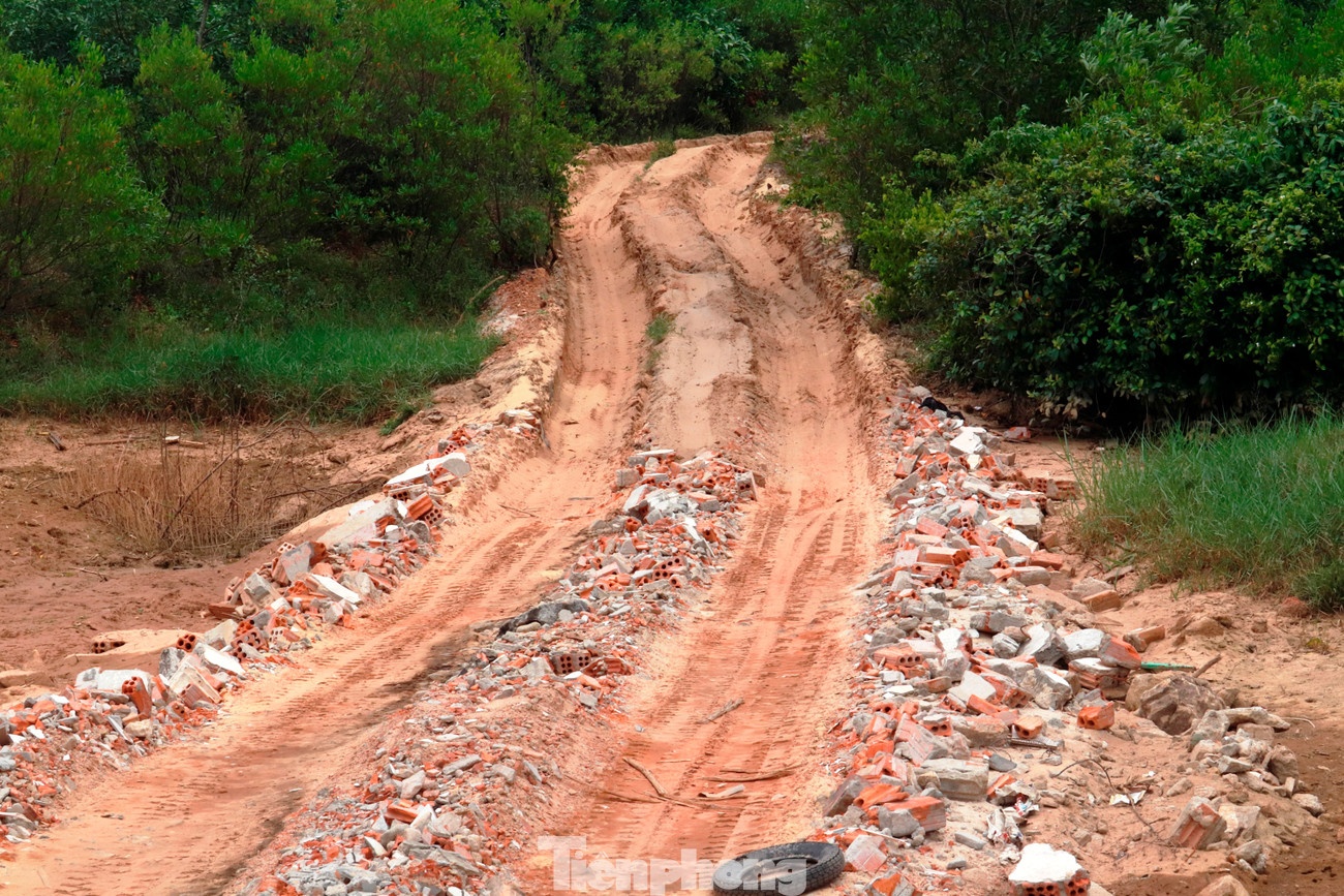 Xẻ thịt Lăng Cô ảnh 5 Xe thit Lang Co anh 5