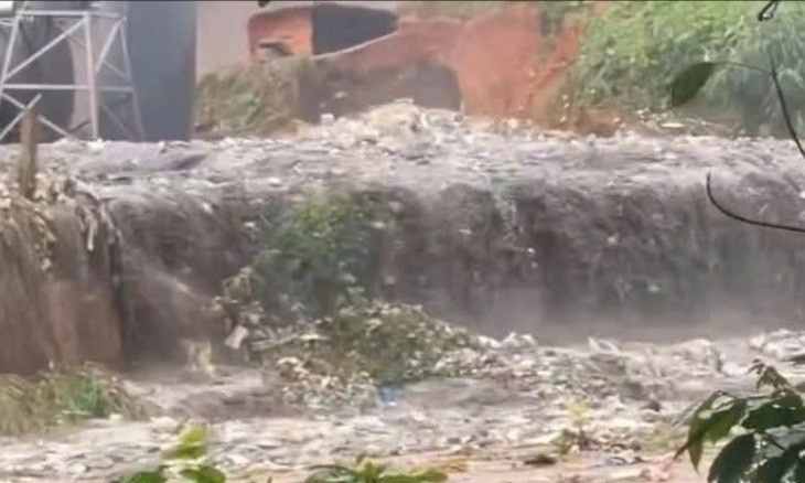 Vo Ho rac Quang Ngai anh 10