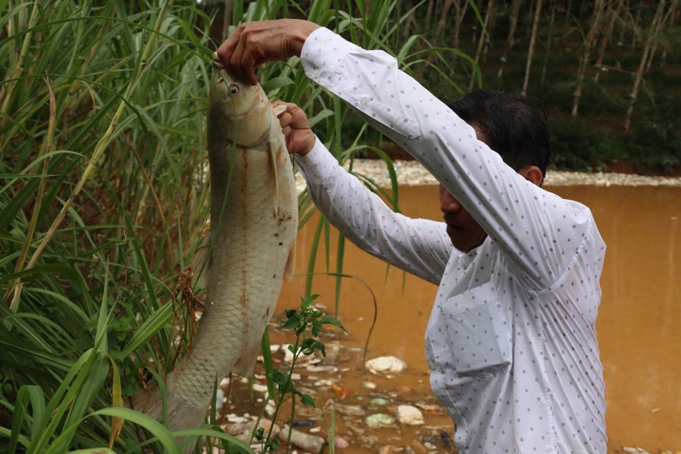 Vo Ho rac Quang Ngai anh 2
