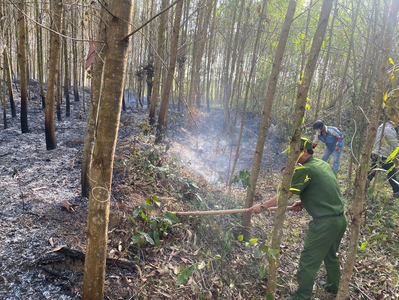 Chay rung keo Gia Lai anh 1