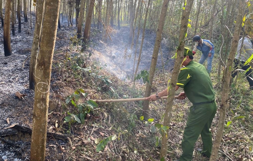 Chay 7.000m² rung keo, nghi do dot ong hinh anh