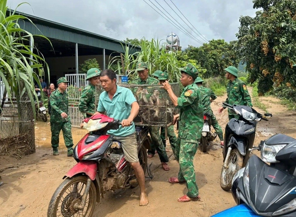 Lu lon song Ma anh 3