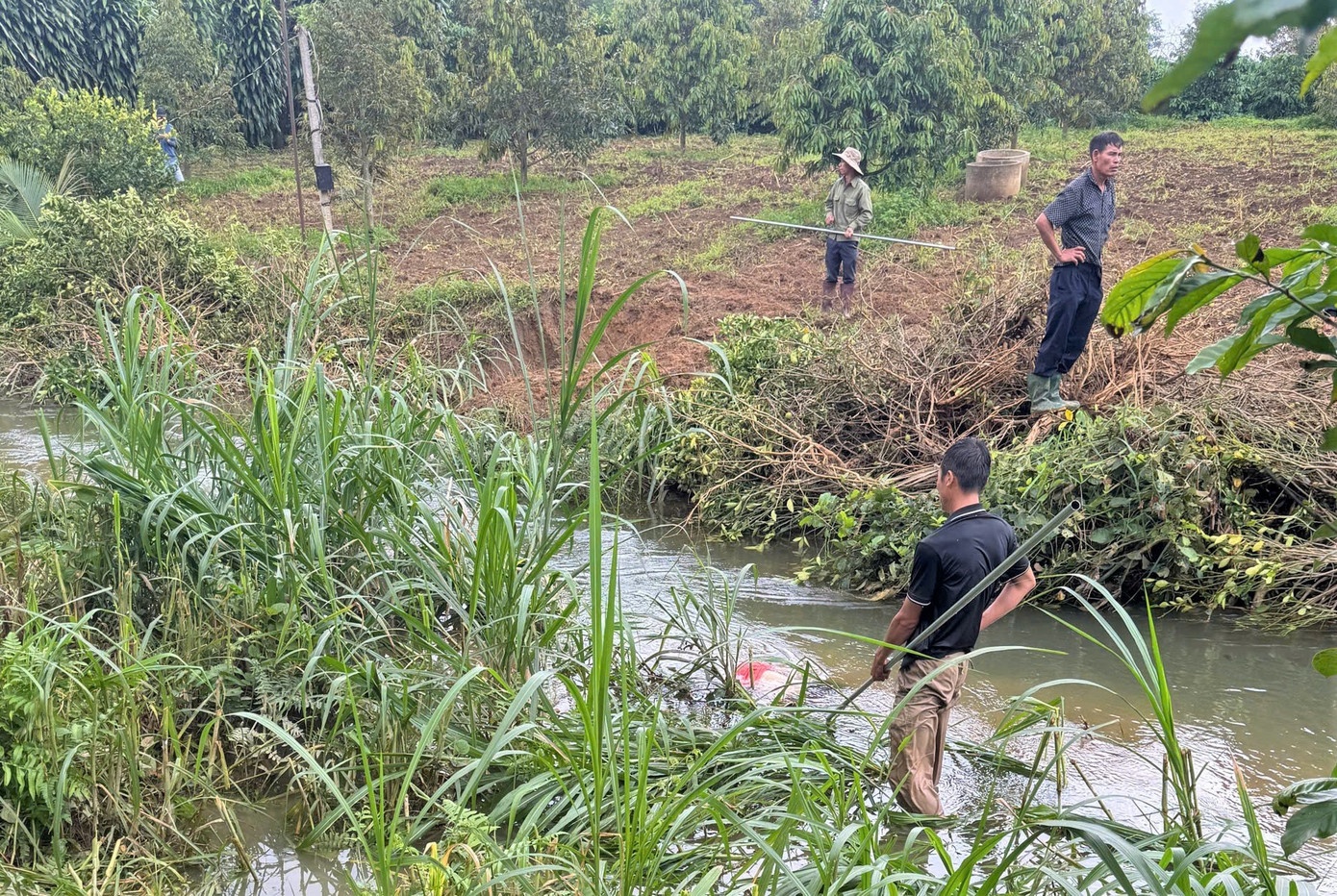 Tim thay thi the nguoi phu nu sau mot ngay mat tich o Lam Dong hinh anh