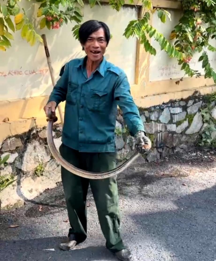 Ran khong lo TP.HCM anh 3