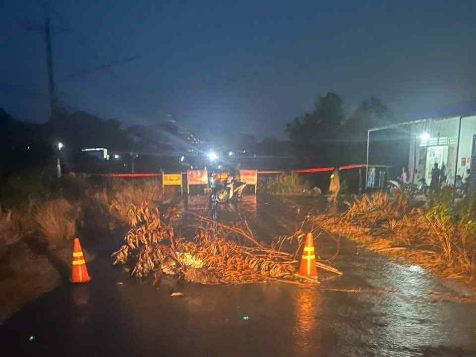 Sap cau Dong Nai anh 1