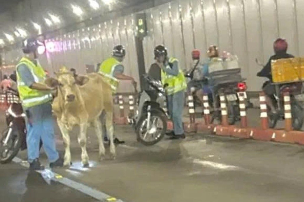 Phat nguoi chu de bo chay lac vao ham song Sai Gon hinh anh