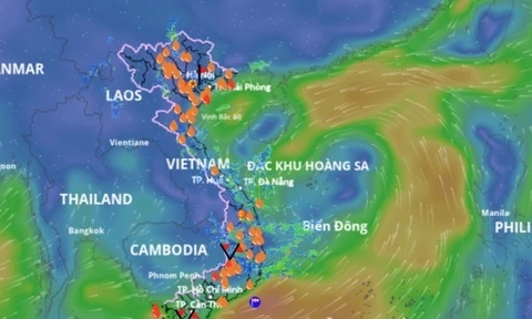 Bien Dong hinh thanh ap thap nhiet doi, tien ve vinh Bac Bo hinh anh