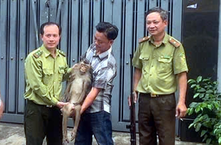 Bat khi duoi lon quay pha khu dan cu o Binh Hung Hoa hinh anh