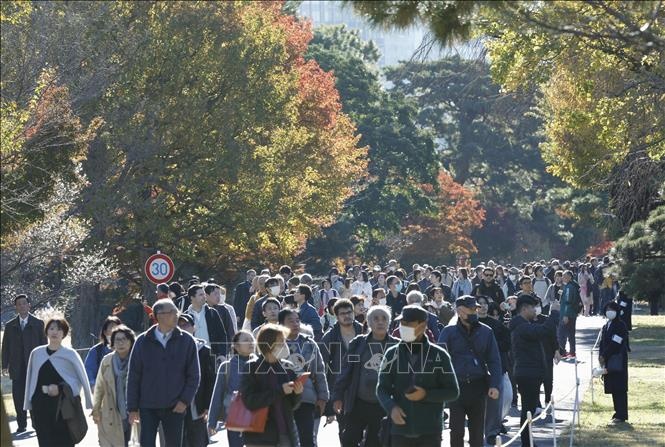 Dan so Nhat Ban giam ky luc trong nam 2024 hinh anh