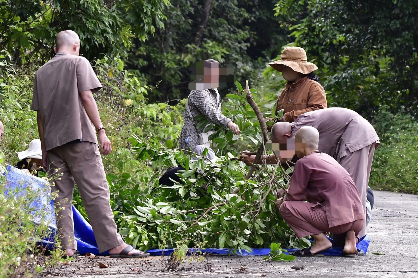 Chat cay khi Da Nang anh 1