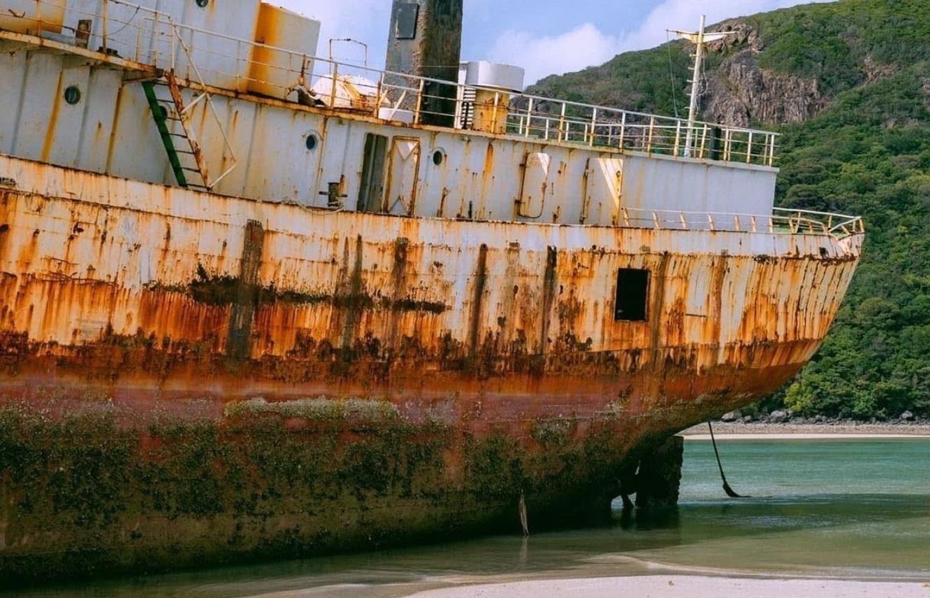 Can canh tau hoang nghin tan duoc de xuat danh chim o Con Dao hinh anh