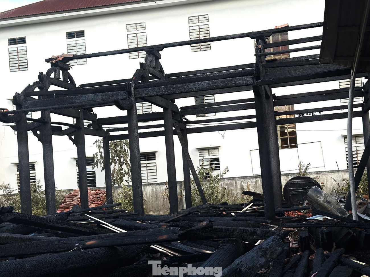 Chay nha go 3 ty anh 12