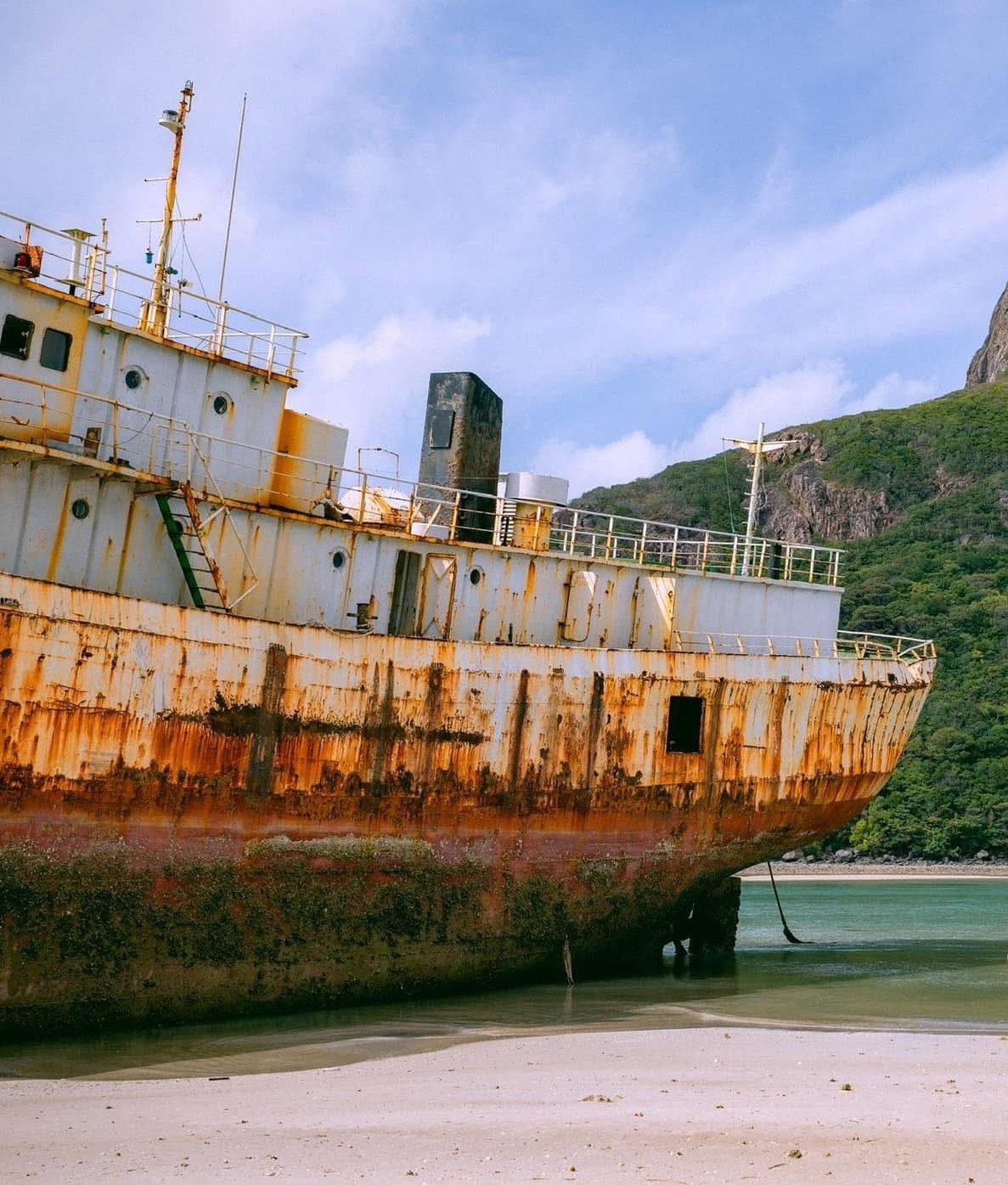 Tau Sheng Li Con Dao anh 2