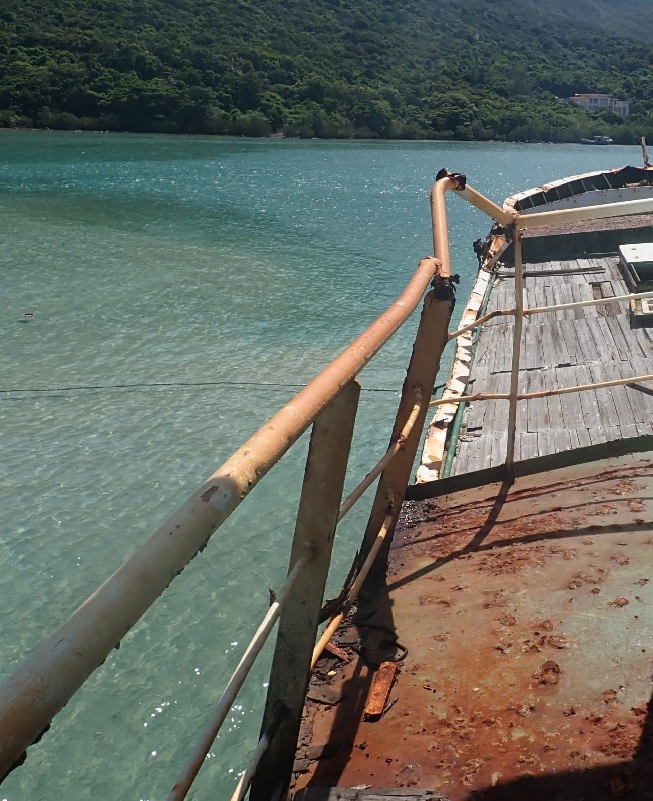 Tau Sheng Li Con Dao anh 3