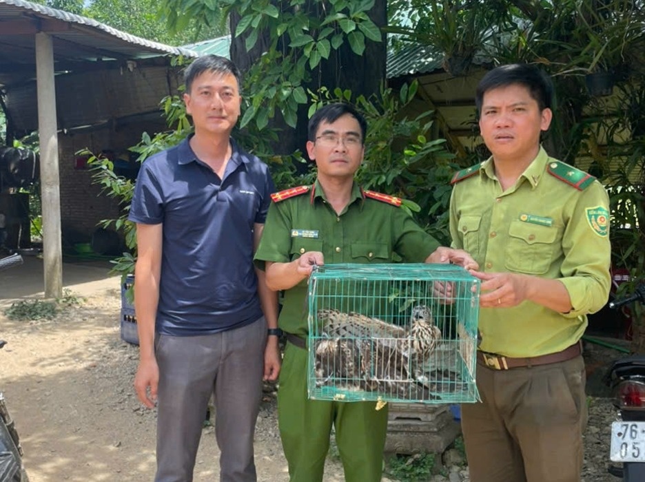 Dieu hau quy hiem anh 1