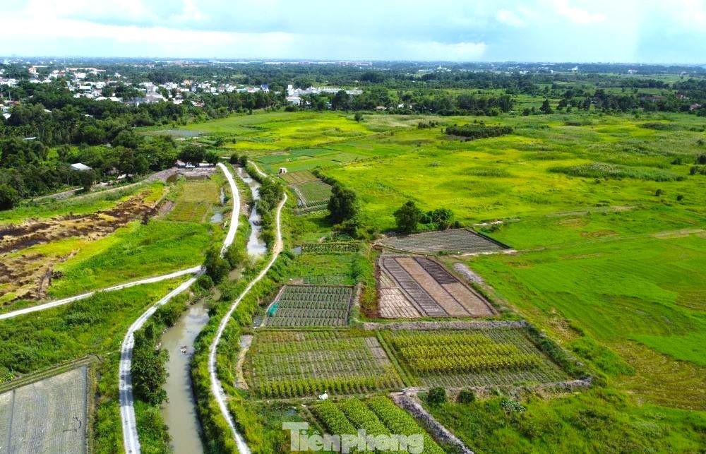 Thu hoi Suoi Giua TP.HCM anh 2