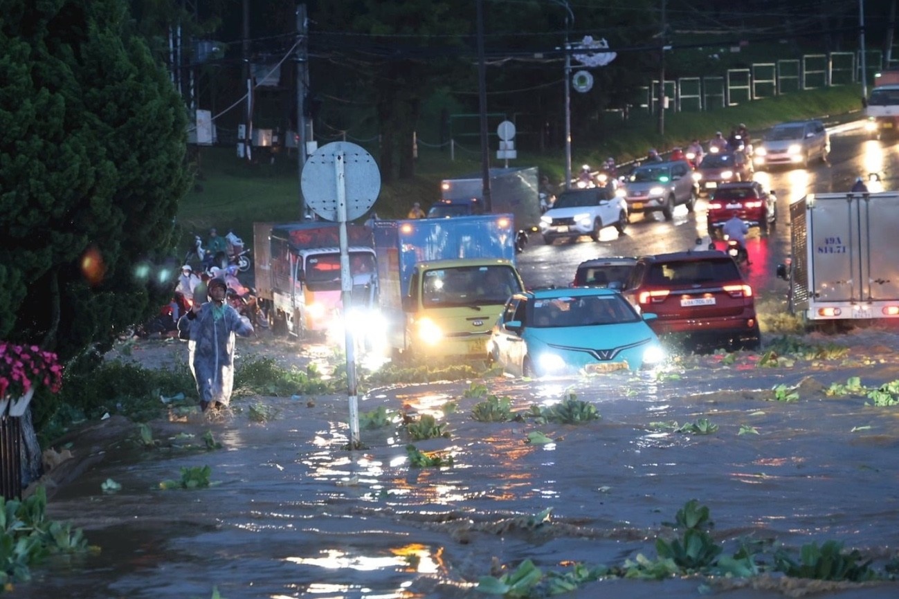 da lat mua ngap anh 1