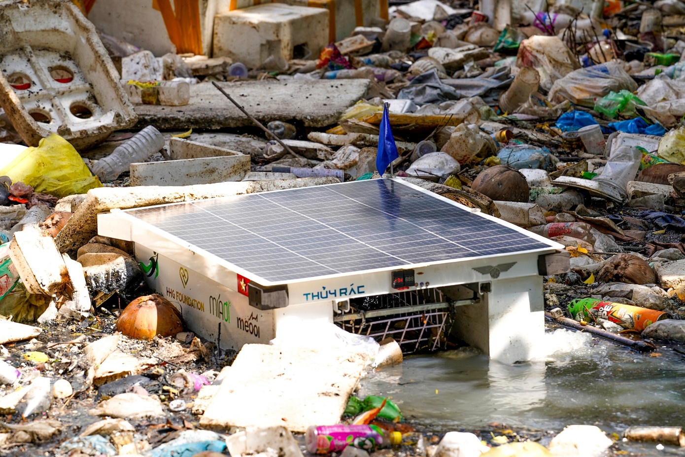 Kenh Hy vong TP.HCM anh 8