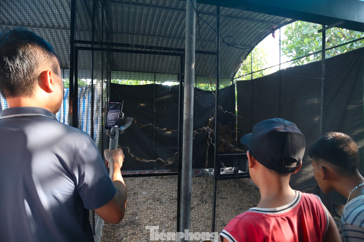 Thai Khac Thanh ga loi anh 10