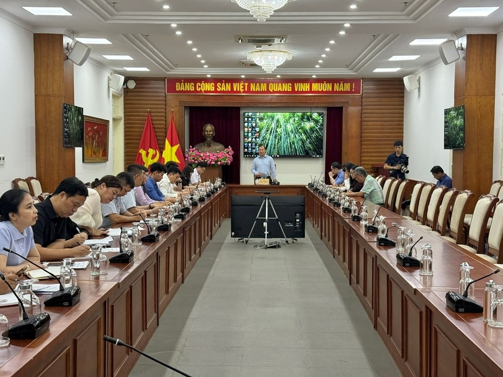 Nganh Van hoa anh 6
