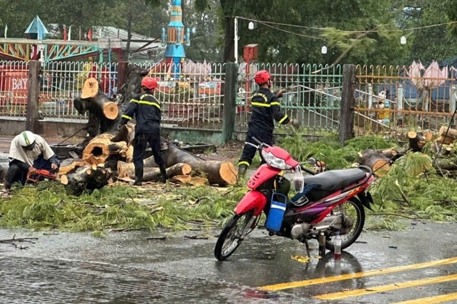 Cay xanh bat goc lam 2 nguoi di duong bi thuong hinh anh