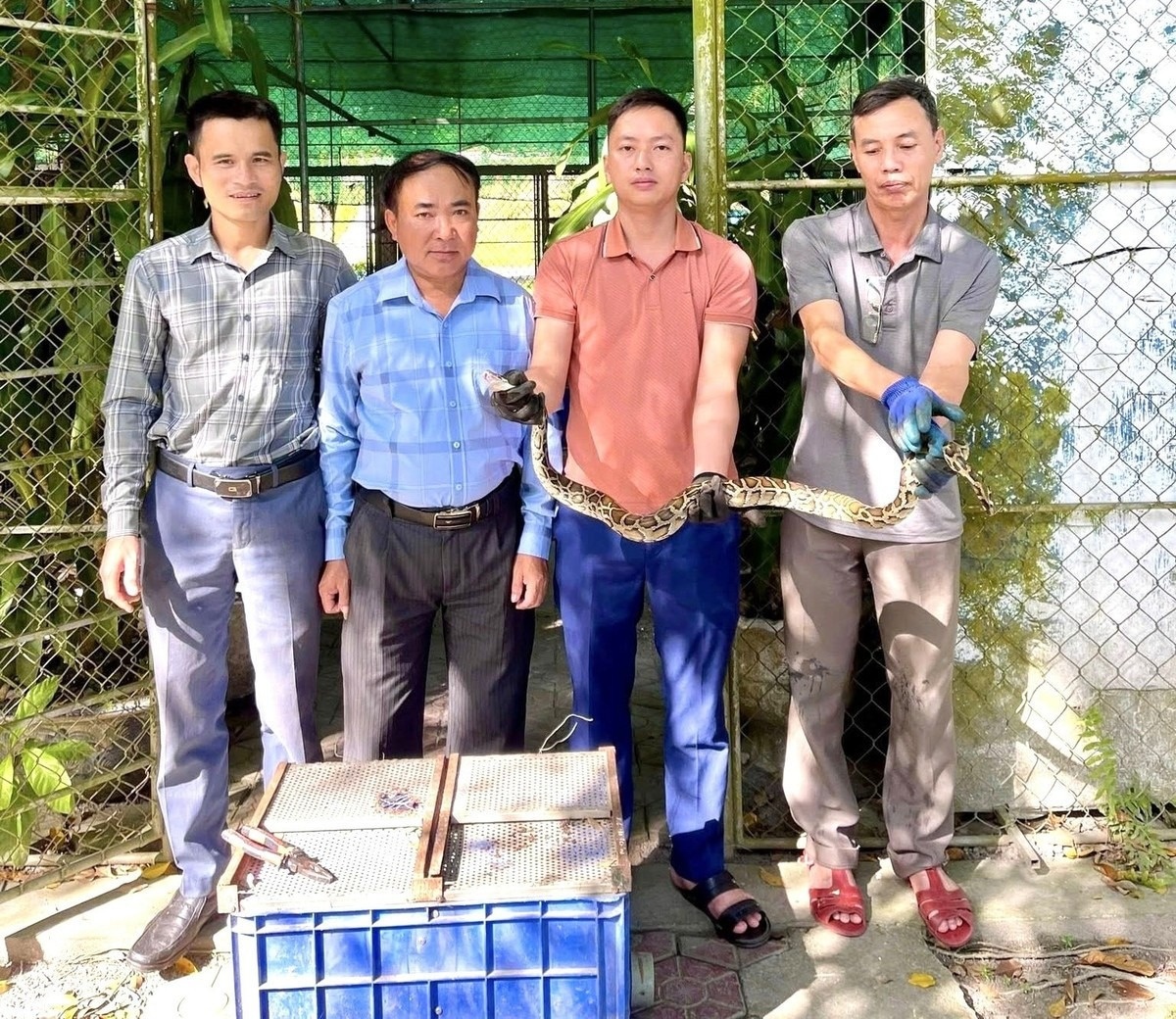 Tran quy hiem mac luoi tai vuon nha dan hinh anh