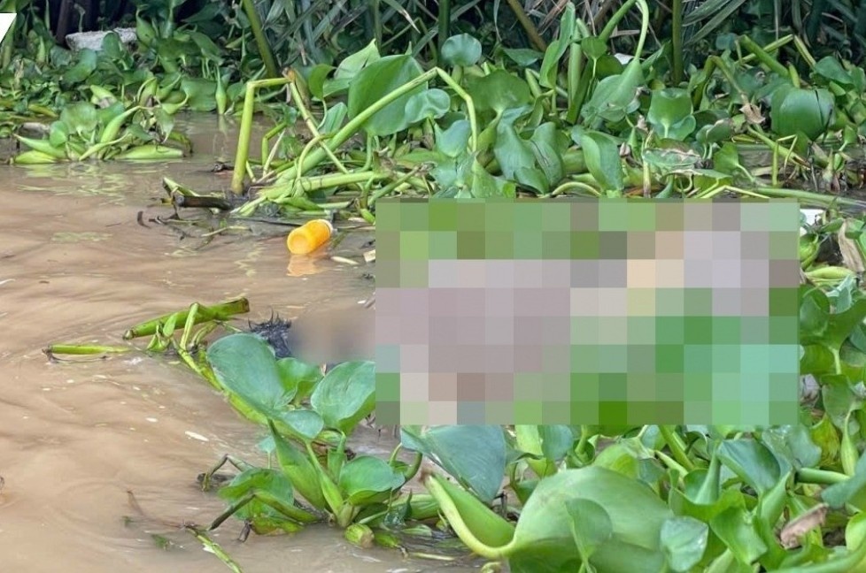 Nguoi dan ong bat can nga xuong song Tien tu vong hinh anh