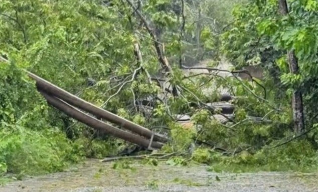 Bao so 5 quat do nhieu cot dien, gan 400.000 khach hang mat dien hinh anh