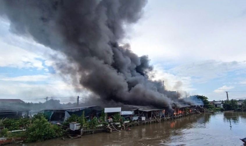 Chay lon cho o Ca Mau hinh anh