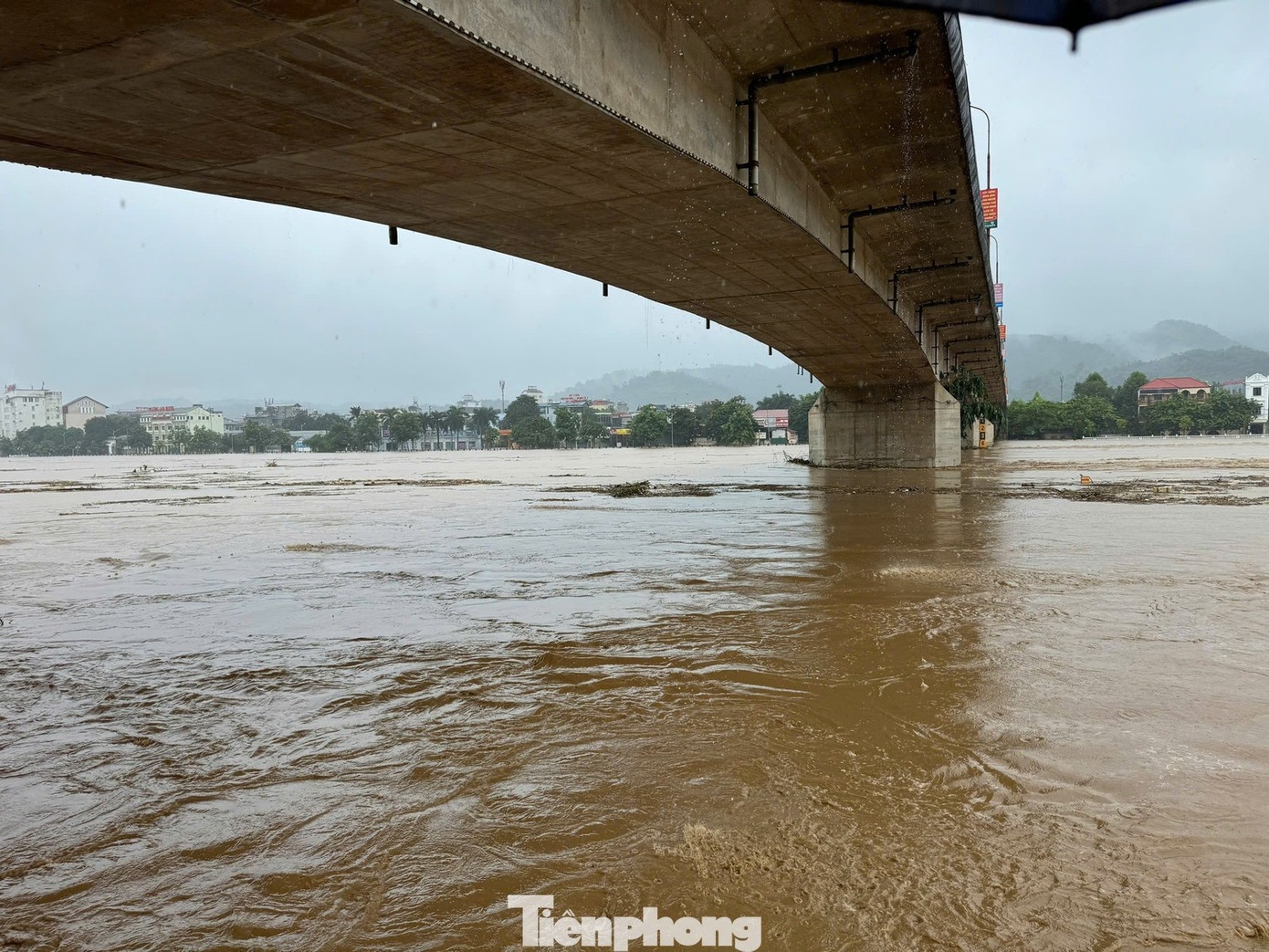 Mua lon bao Kajiki anh 1