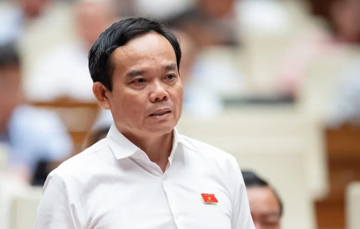 Tran Luu Quang TP.HCM anh 1