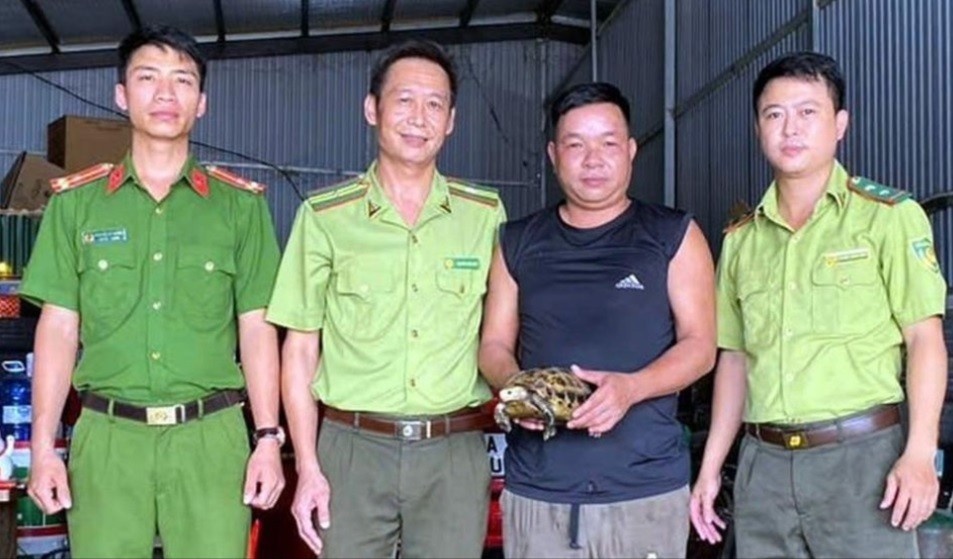 Rua nui vang quy hiem bo vao vuon nha dan hinh anh