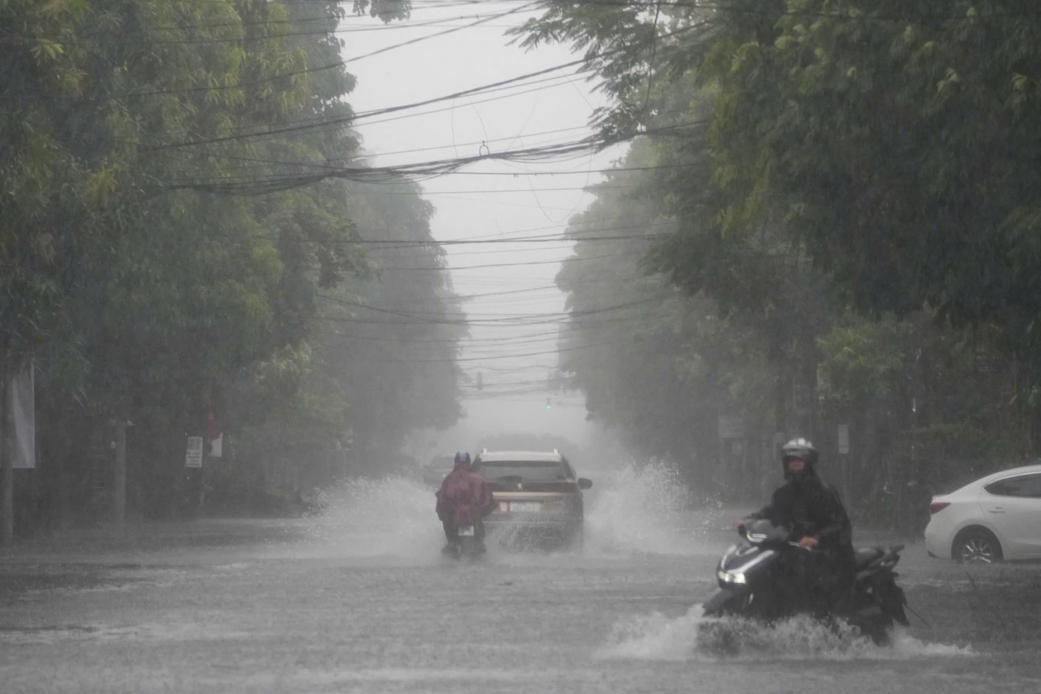 bao so 5 di thuong anh 2