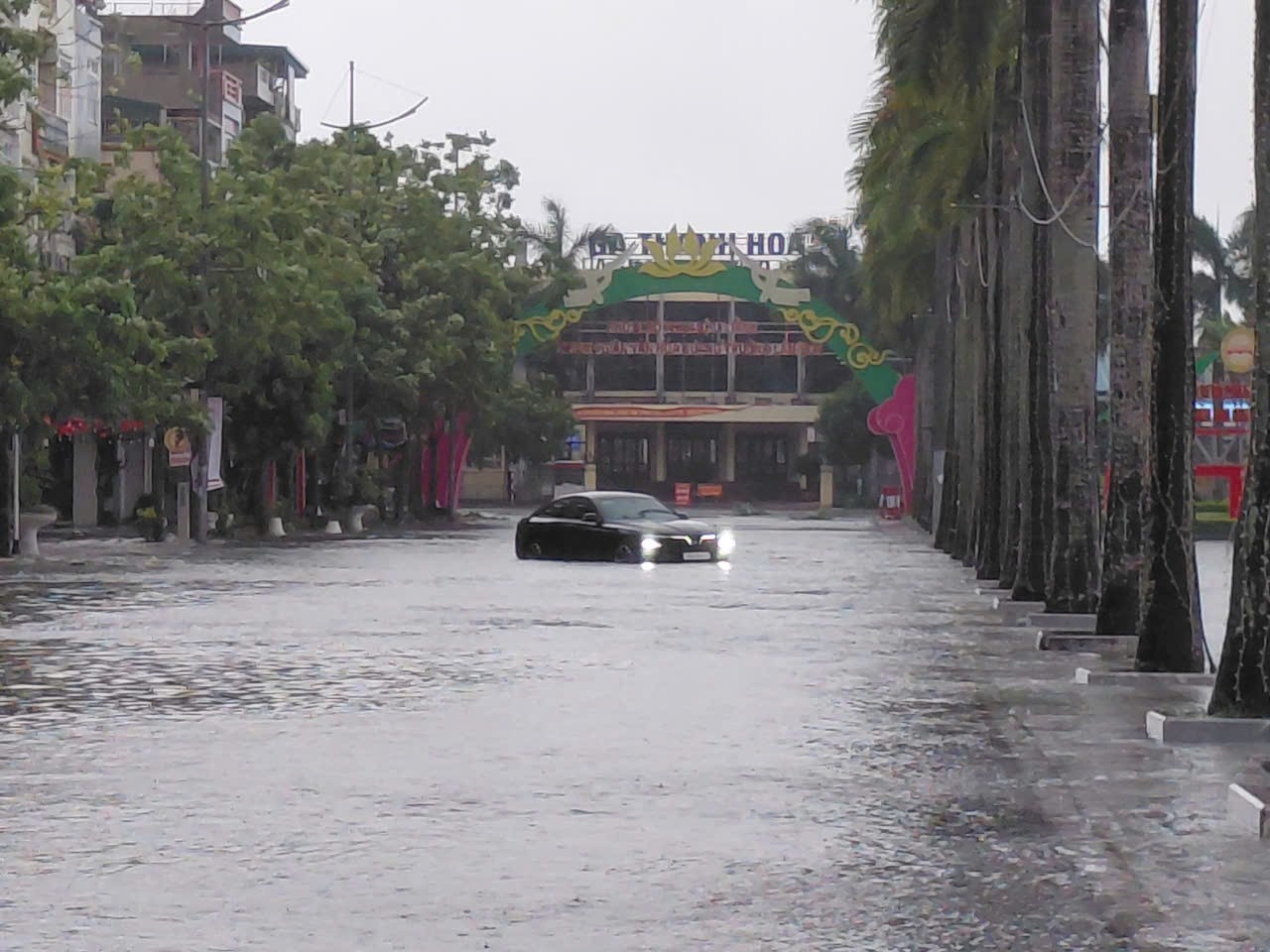 Bao so 5 Kajiki anh 10