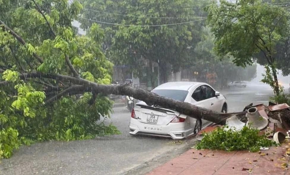 Cay bat goc tren duong pho Thanh Hoa do bao so 5 hinh anh