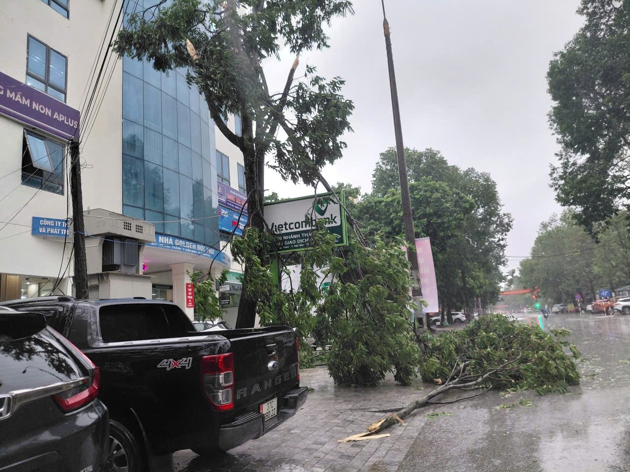 Bao so 5 Kajiki anh 11