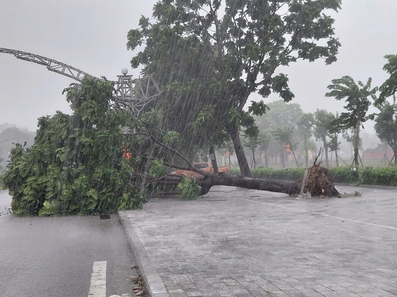 Bao so 5 Kajiki anh 1